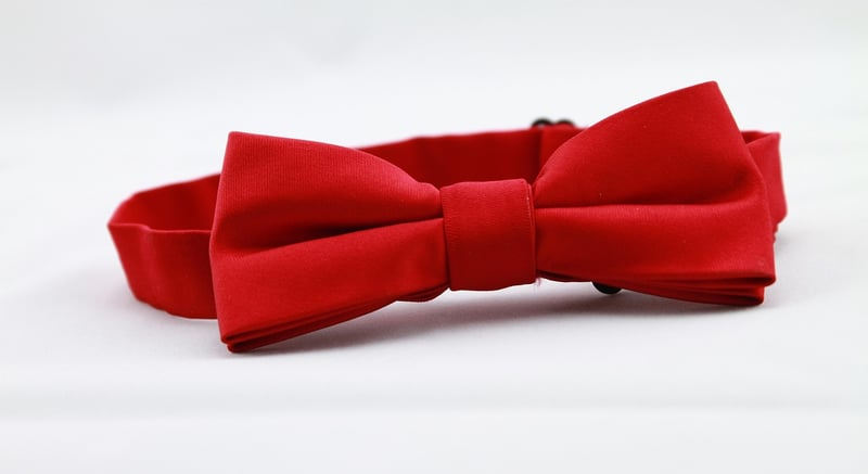 Bow Tie