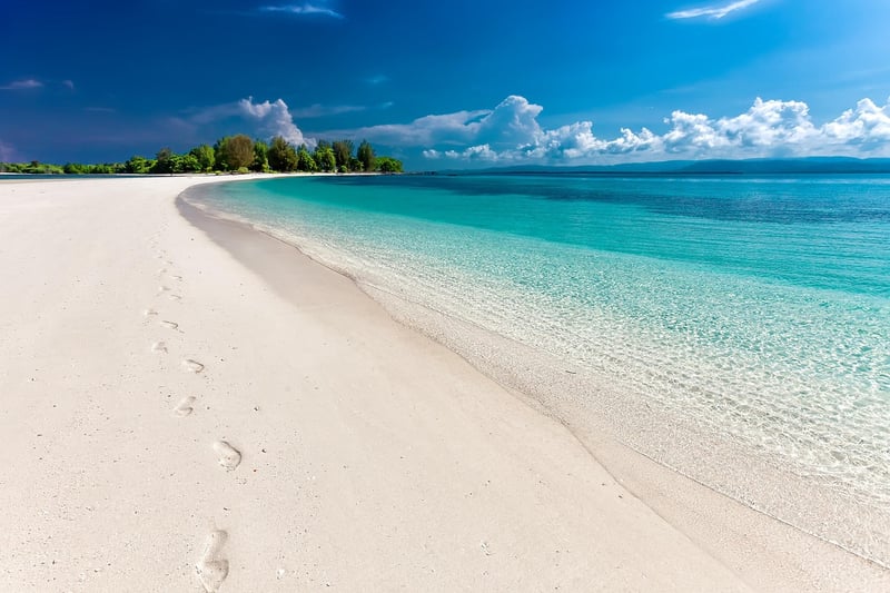 Tropical Vibes
